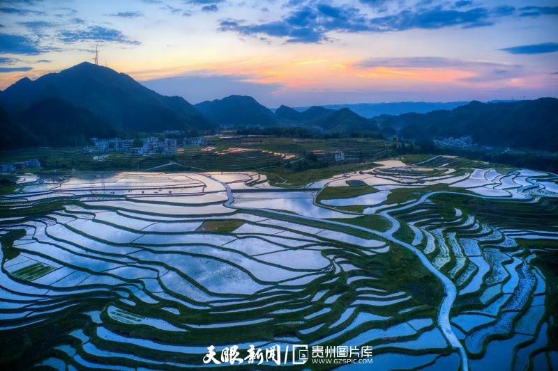 贵州龙里大新村梯田图片