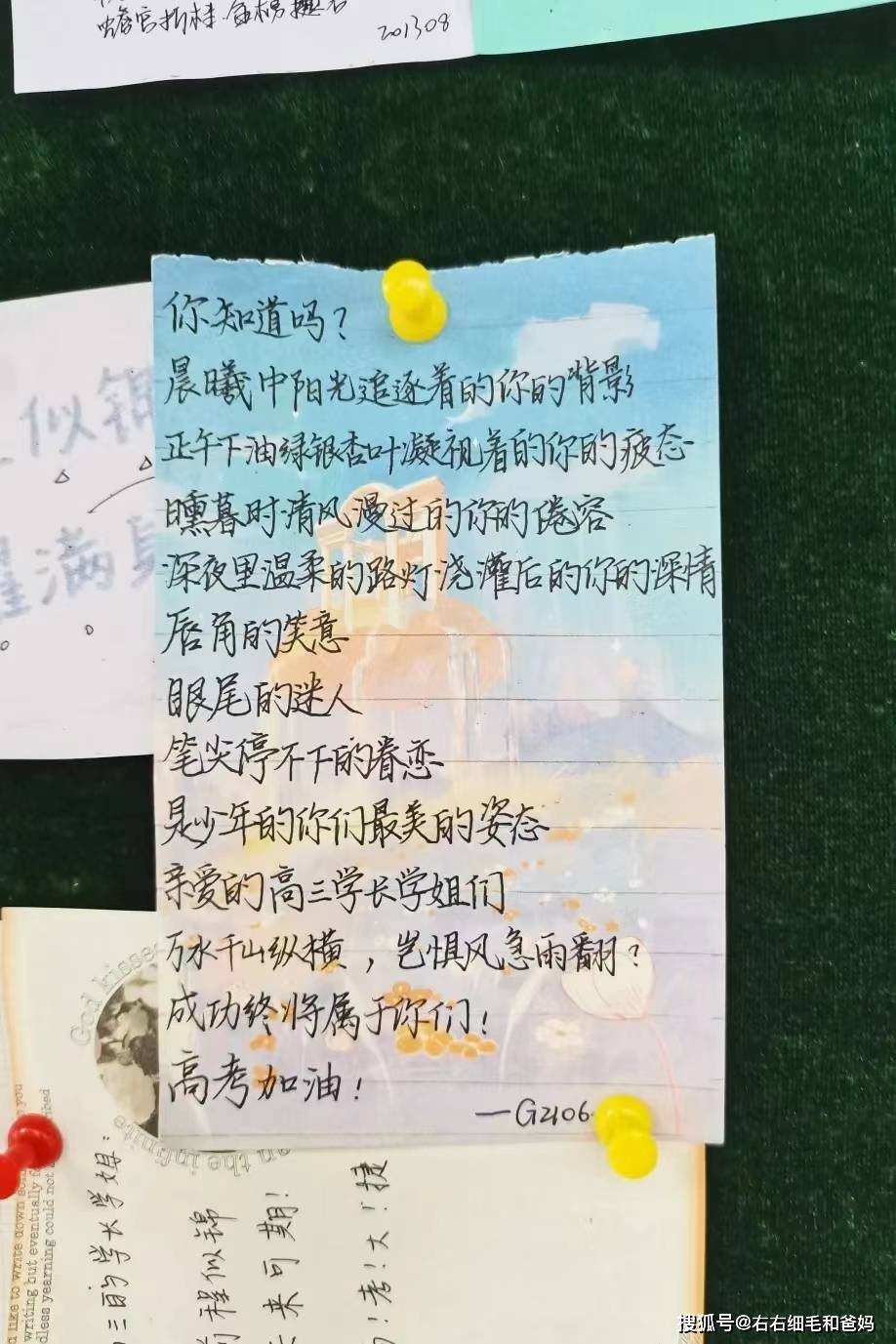 写给13年后高考的双胞胎,希望妈妈能遵守承诺:不穿旗袍不送葵花_宝贝