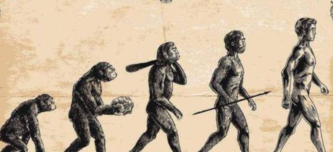 人类进化史也是一部灭绝史:北京猿人惨遭屠杀,还被当作食物_智人_人