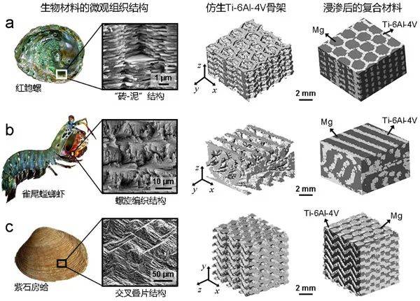 金属所nature子刊3d打印高性能镁钛互穿结构复合材料