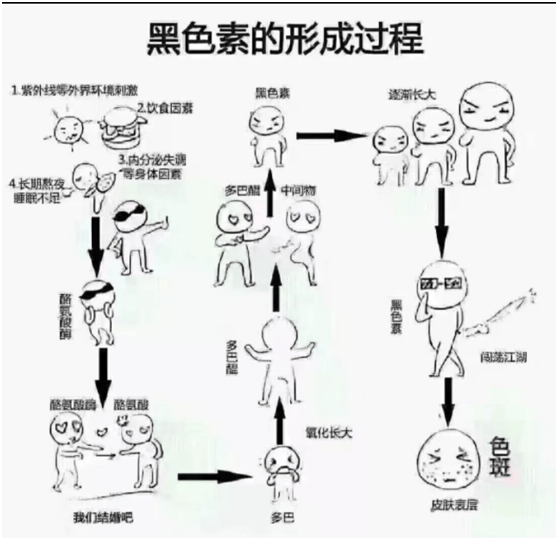 人体黑色素的合成离不开酪氨酸和酪氨酸酶,两者缺一就不能合成黑色素