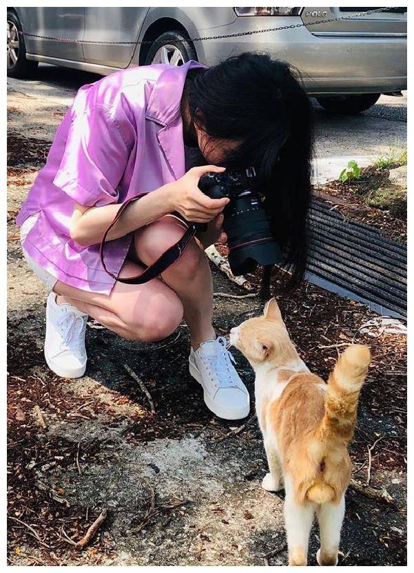 原创倪妮街边逗猫穿一条3分酸奶裙蹲下时无遮挡瞬间捂眼不敢看