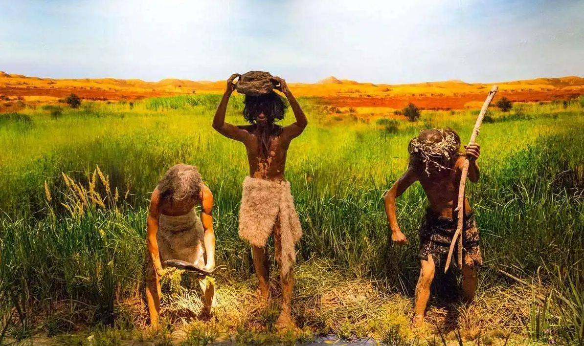 动物都不穿衣服 为何人类穿上了衣服 御寒还是遮羞 古猿 生活 原始社会