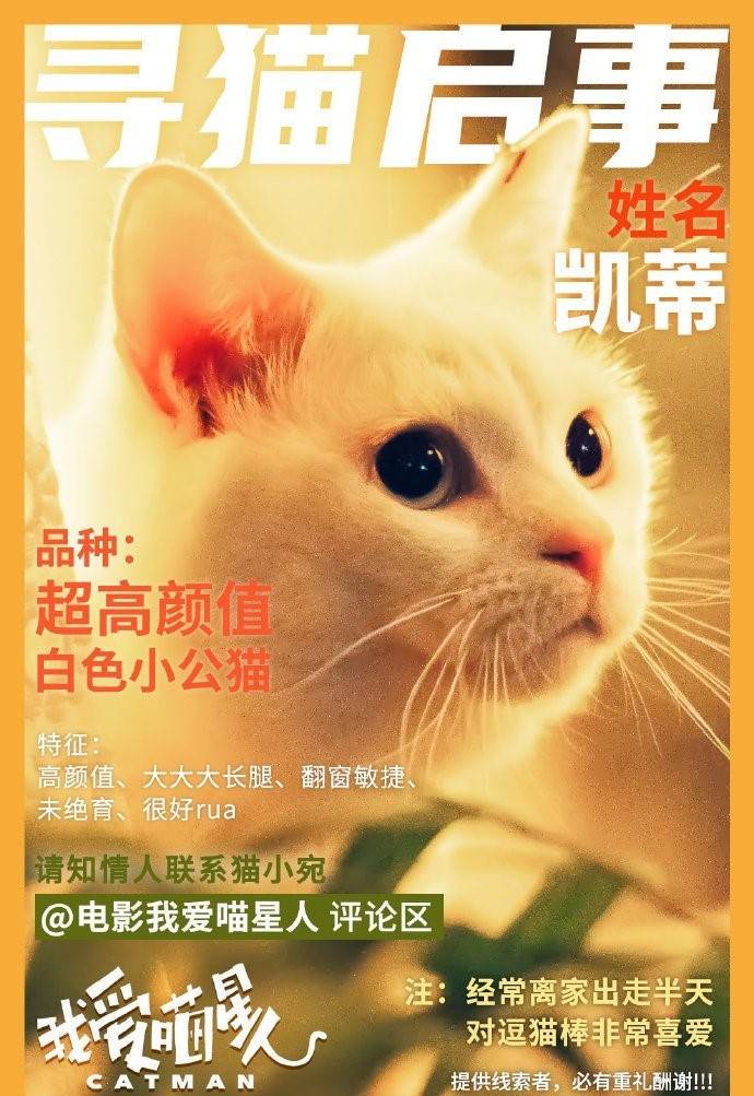 原创限韩令松动中韩合拍片改走网播定档许佳琪鞠婧祎首部电影问世