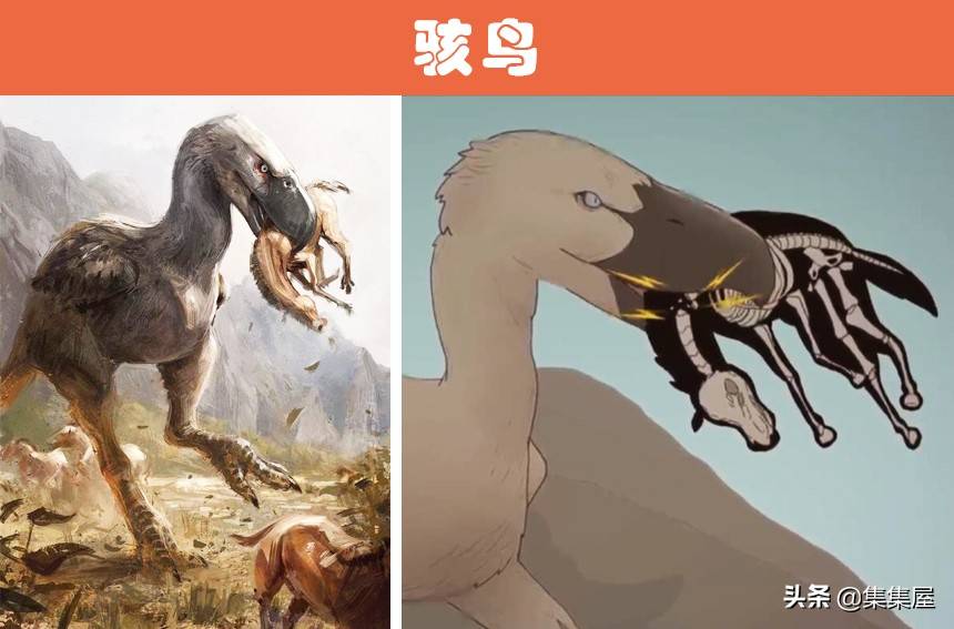 原创恐龙是地球上的绝对王者吗7个被一些人认为比恐龙更可怕的动物