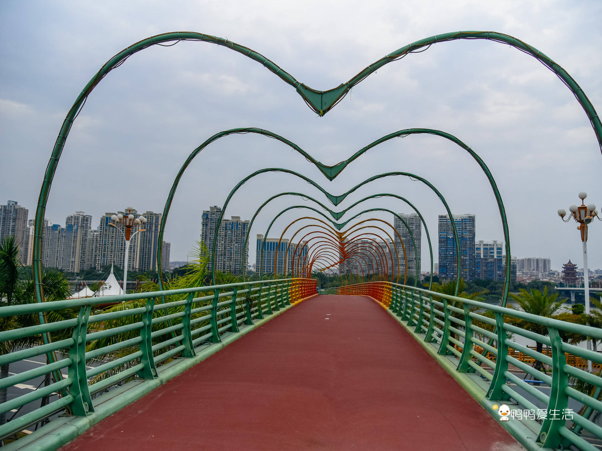 漳州彩虹桥介绍图片