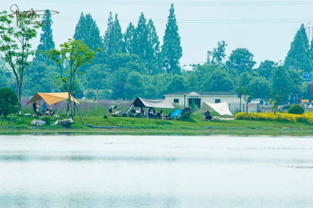 杭州最大的露营地就在双浦镇的铜鉴湖畔，不过很快将需要提前预约