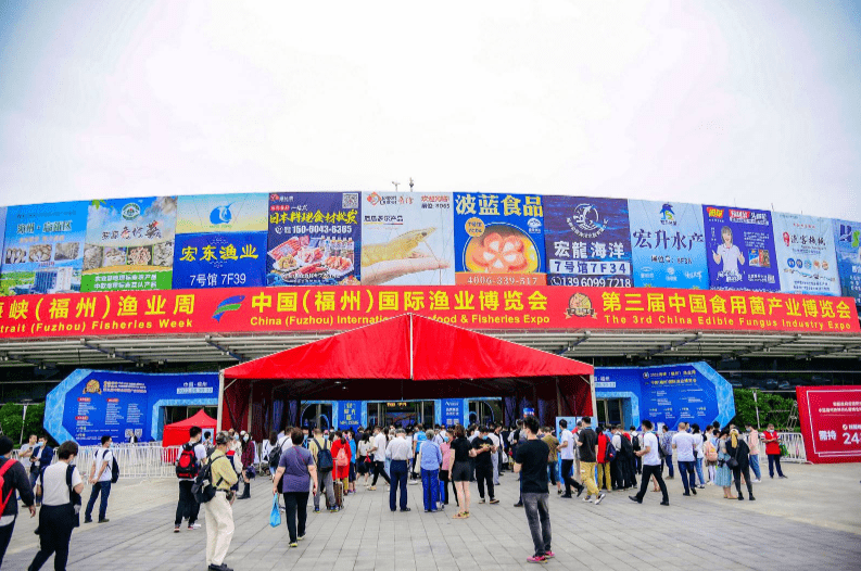 福州贸易商行业动态：机遇与挑战共存