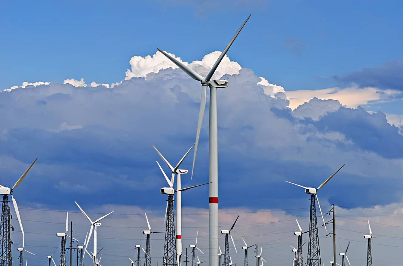 原创风电机成新顶级食肉动物绞杀1300只猛禽还要发展风电吗