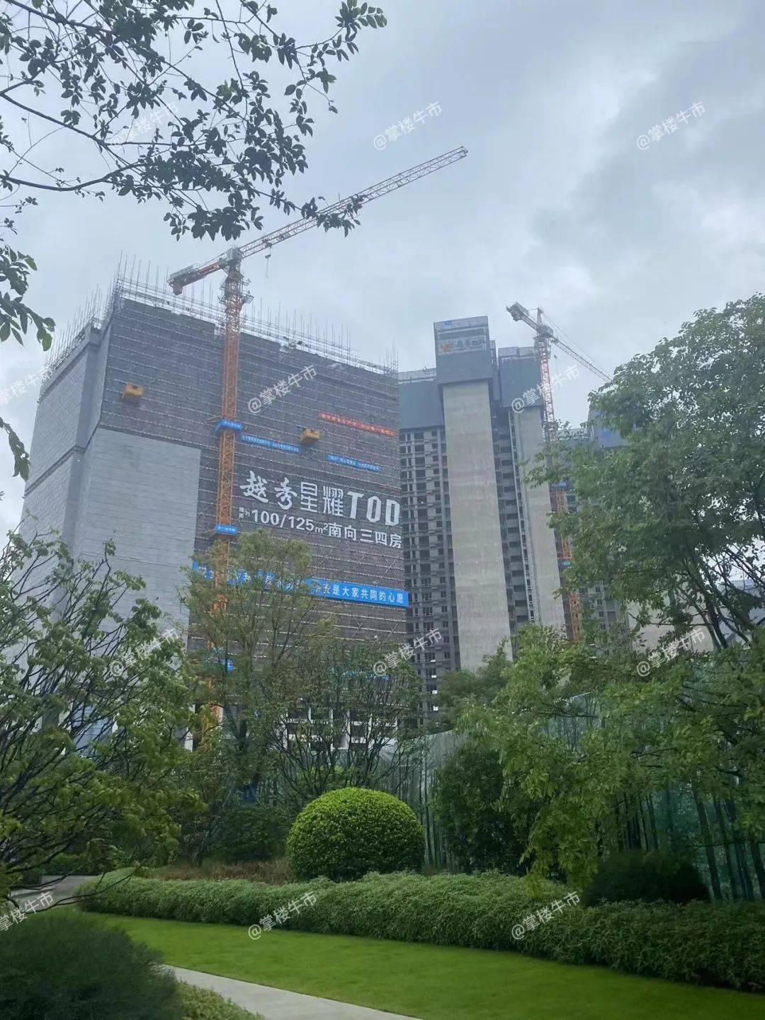 cbd+tod都打出来了