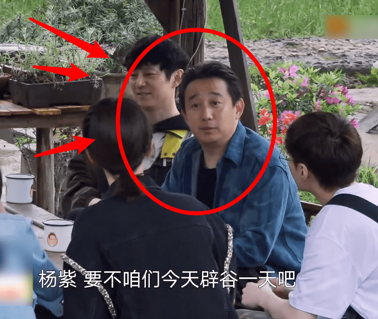 原创杨紫直言是冲着晚饭来录节目的听到黄磊的回应整个人都不好了