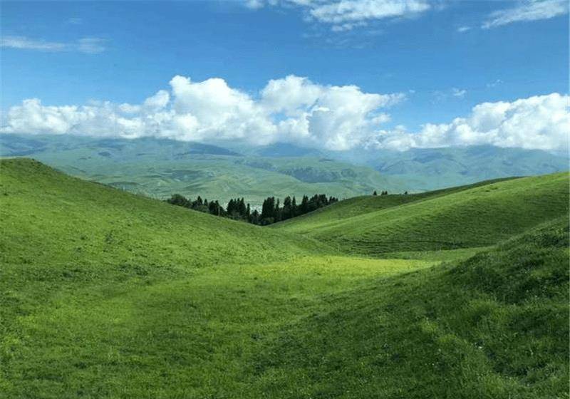 新疆神奇的草原，藏有世界长“怪坡”，车辆下坡却往后退！