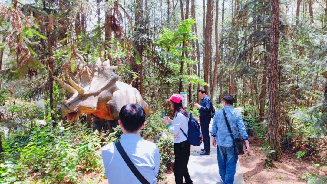 帝嶺·雲湖高山森林公園千畝原生森林,萬方高山碧湖優越的先天的自然