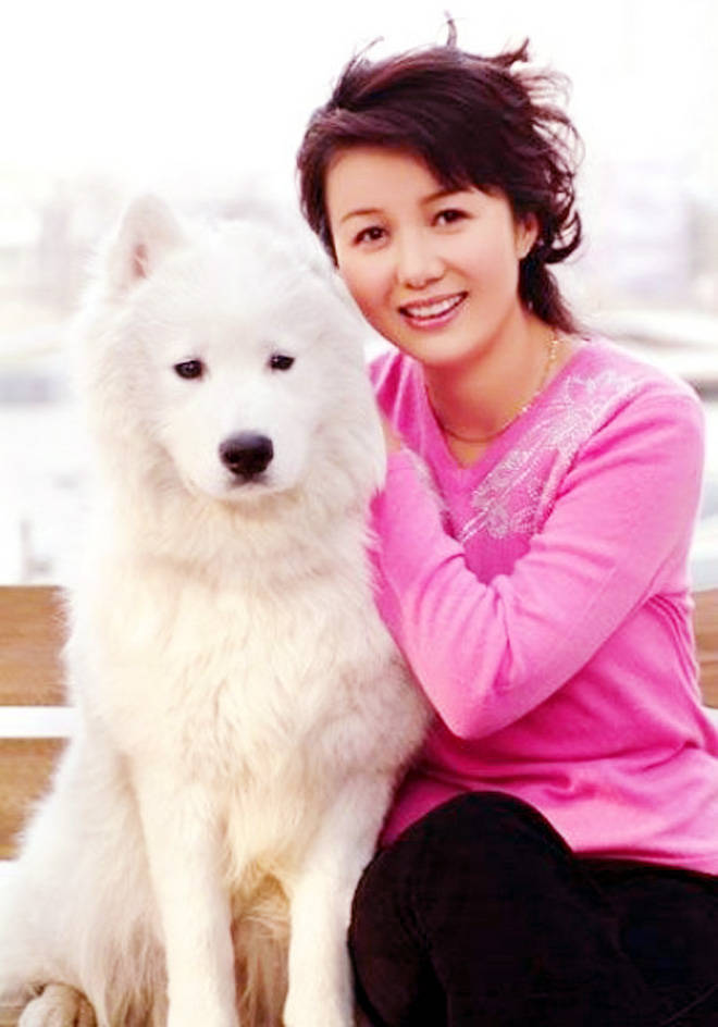 郑卫莉,低调演戏的贤淑女人,赵君,杜志国两个男人从她身边走过