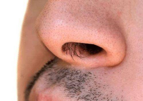 男性鼻毛总是往外“窜”？这意味着什么？早看早了解