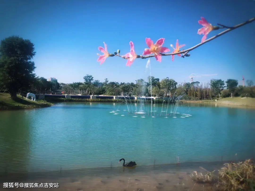 惠州大亚湾泰丰牧马湖最新资讯价格户型图房源销控表