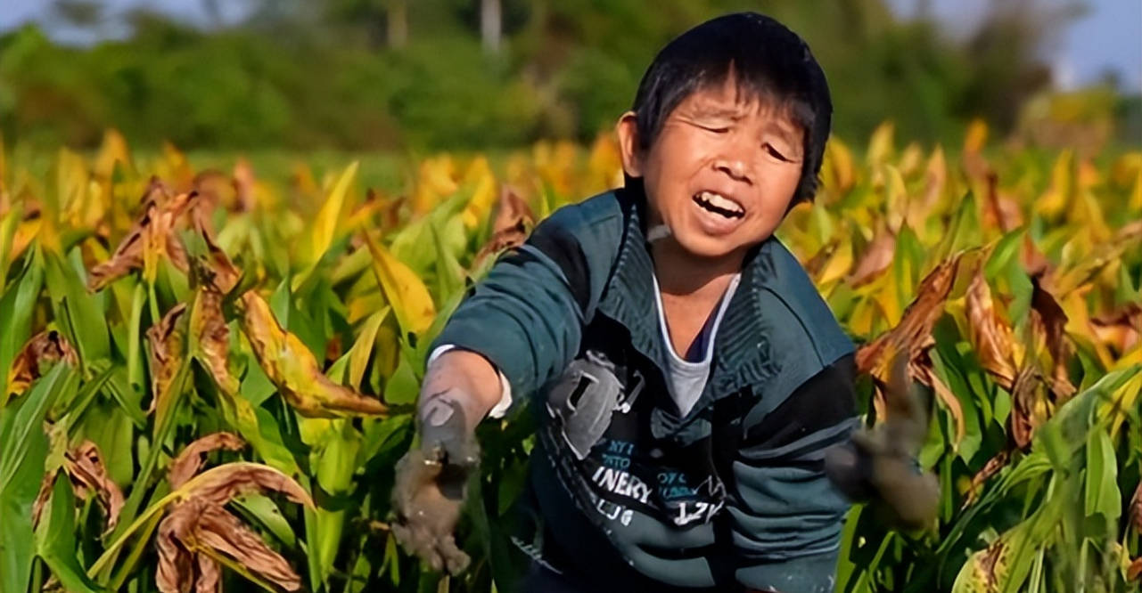 康仔农人是网红圈出了名的人间清醒,我相信他们直
