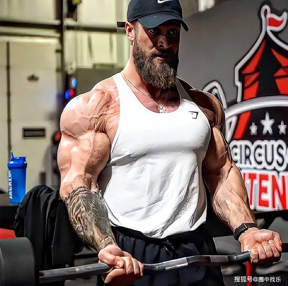 1个小时训练时间,6个经典训练动作,打造强壮"麒麟臂"_肌肉_手臂_肱骨