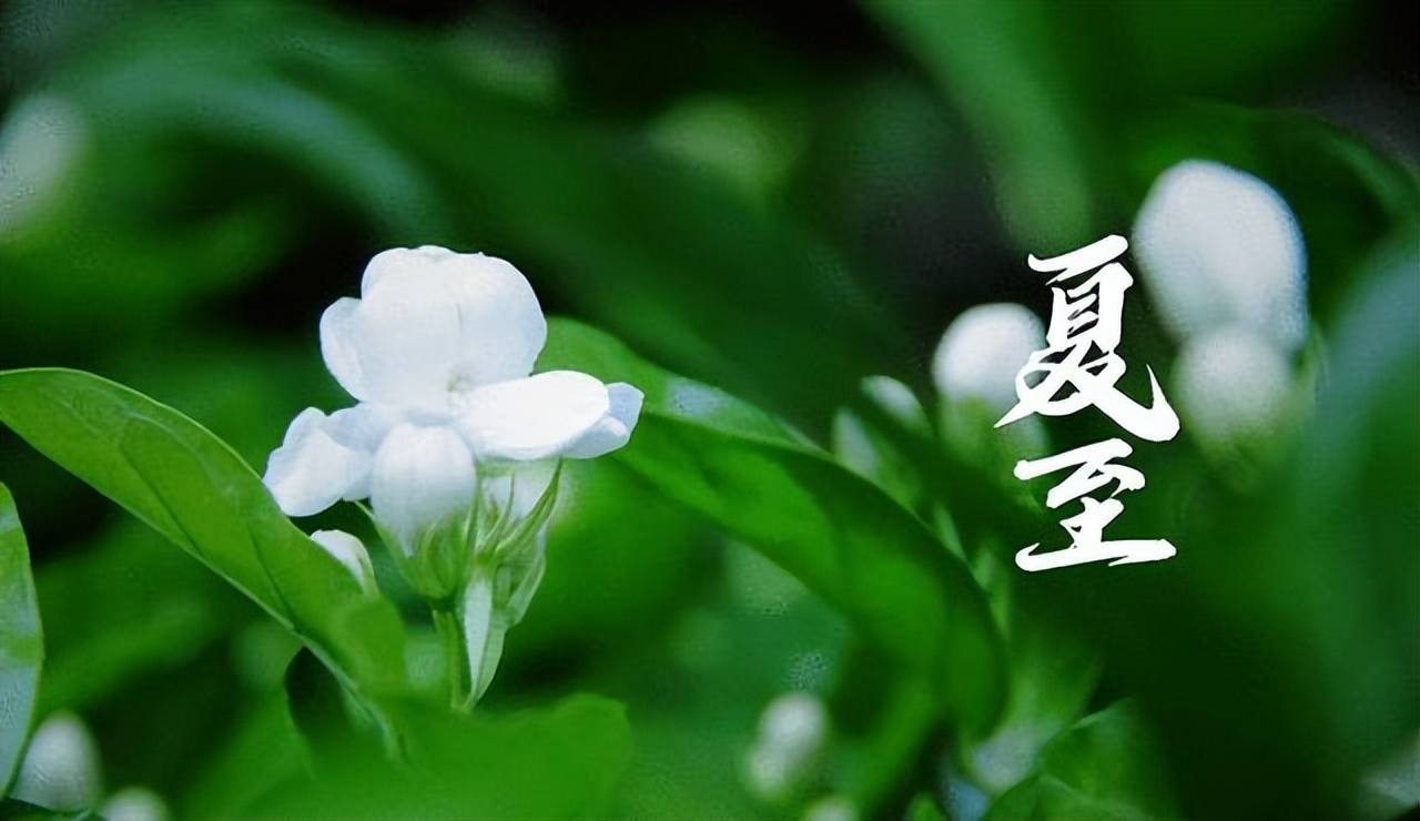 今年6月21日17时14分进入夏至节气