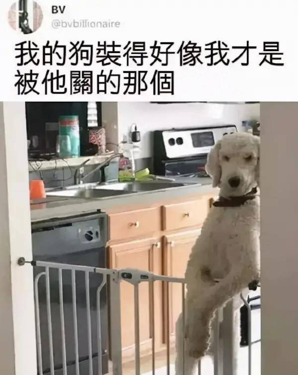 原创
神段子:上海的叫名媛,北京的叫富婆,那广州的叫什么?