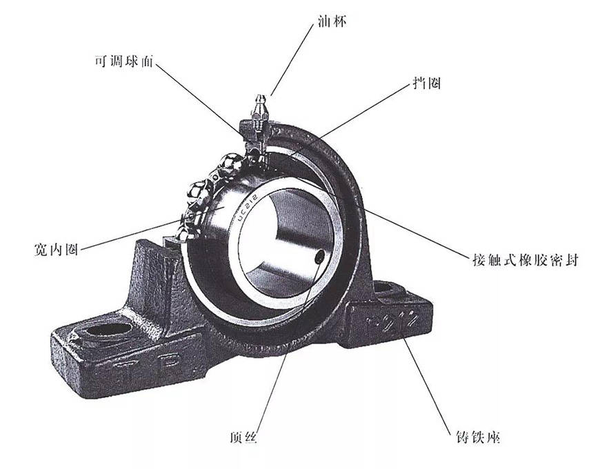 牛眼轴承内部结构图片
