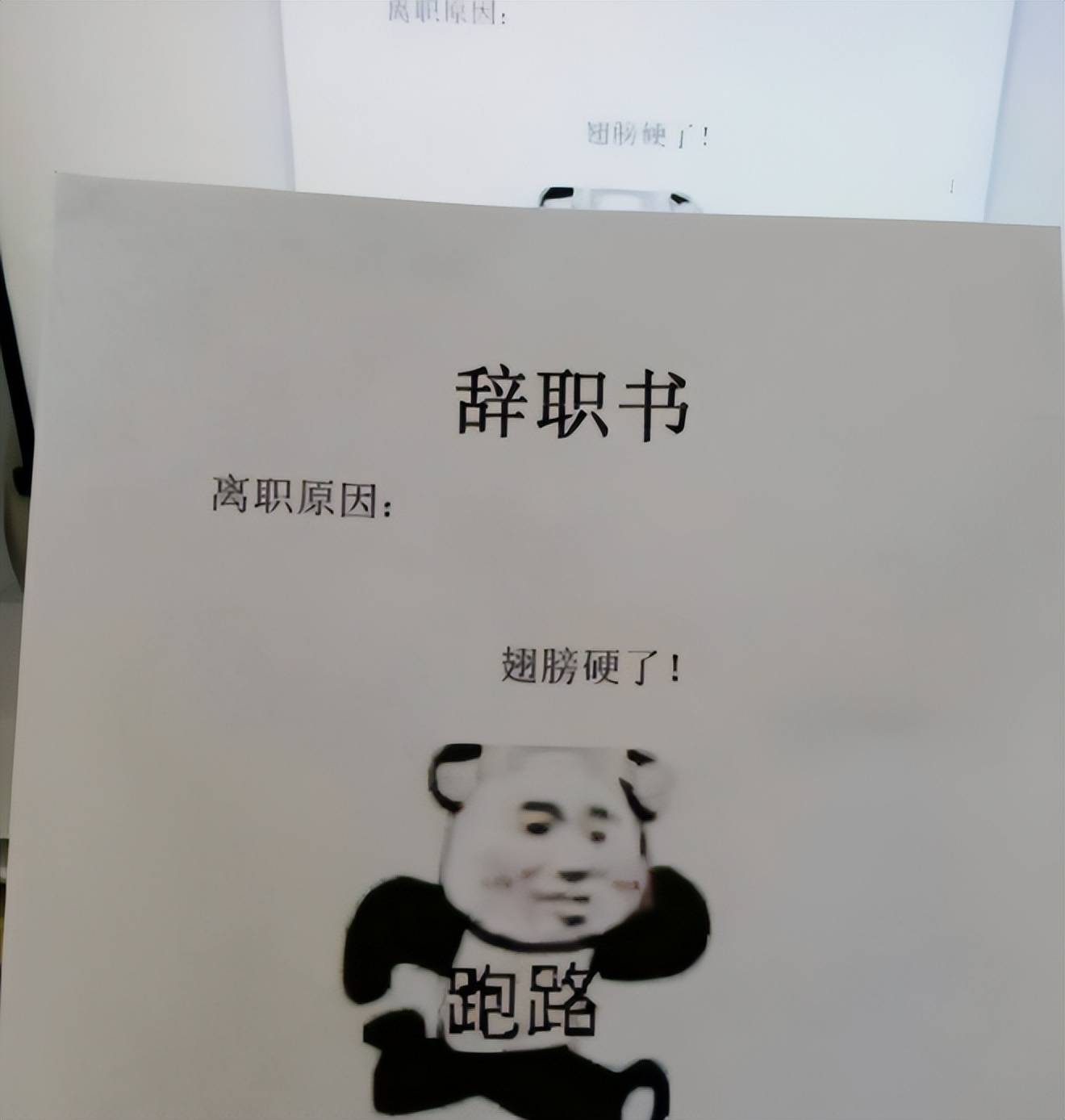 翅膀硬了要跑路00后霸气晒出辞职信老板气得脸都绿了