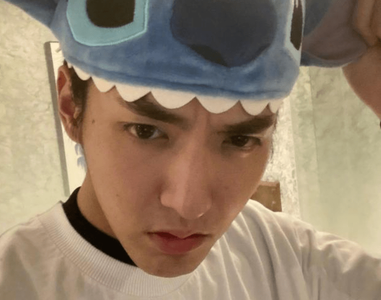 吴亦凡也曾经起诉过黑色粉丝,而这些带着私生饭名字的粉丝,说得好听点