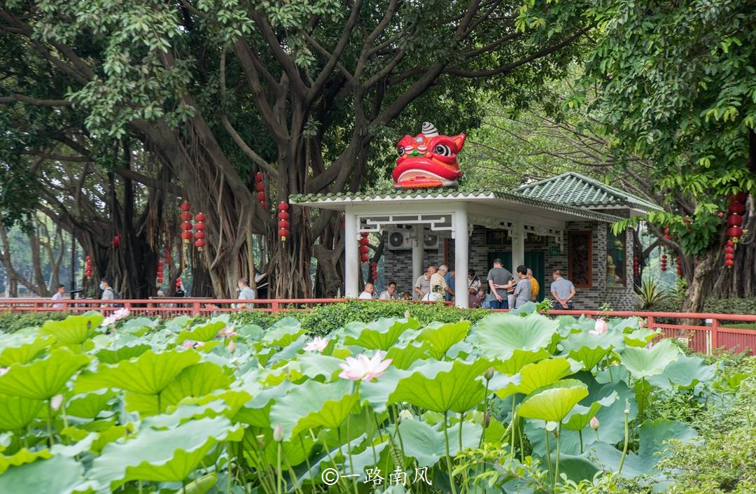 原创一到夏天广州这两个公园就变成网红景点每天游人如织