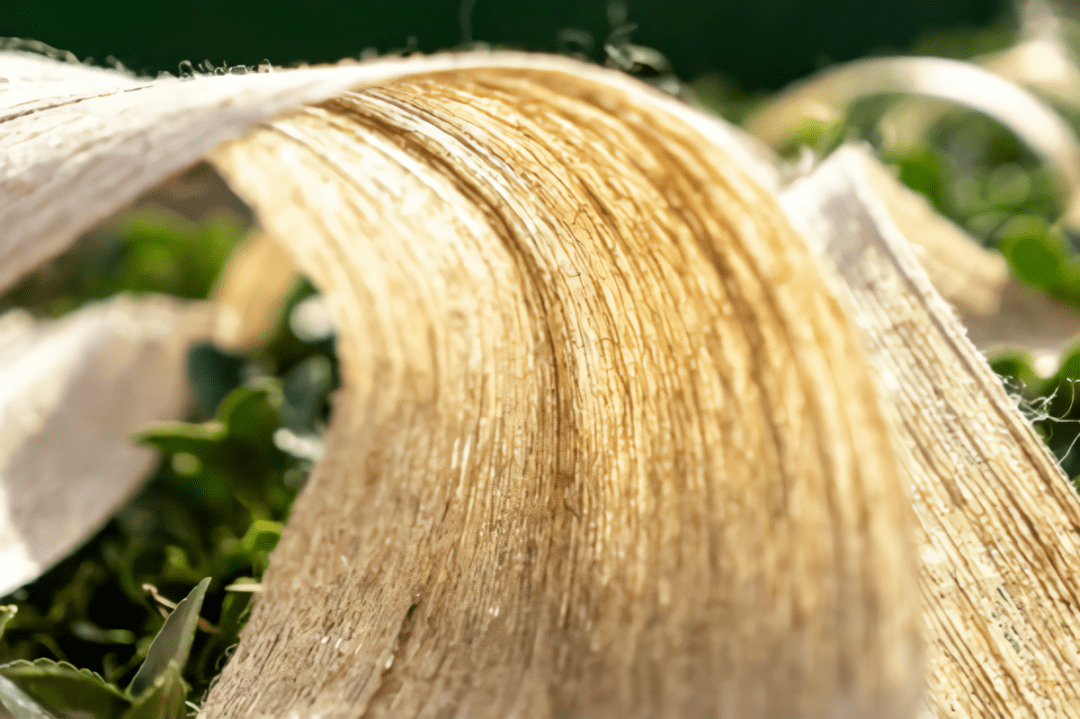 植物纤维及其复合材料应用前景广阔复材云集复合材料