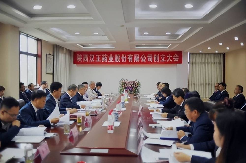 陕西汉王药业股份有限公司正式成立，汉王药业IPO迈出坚实一步