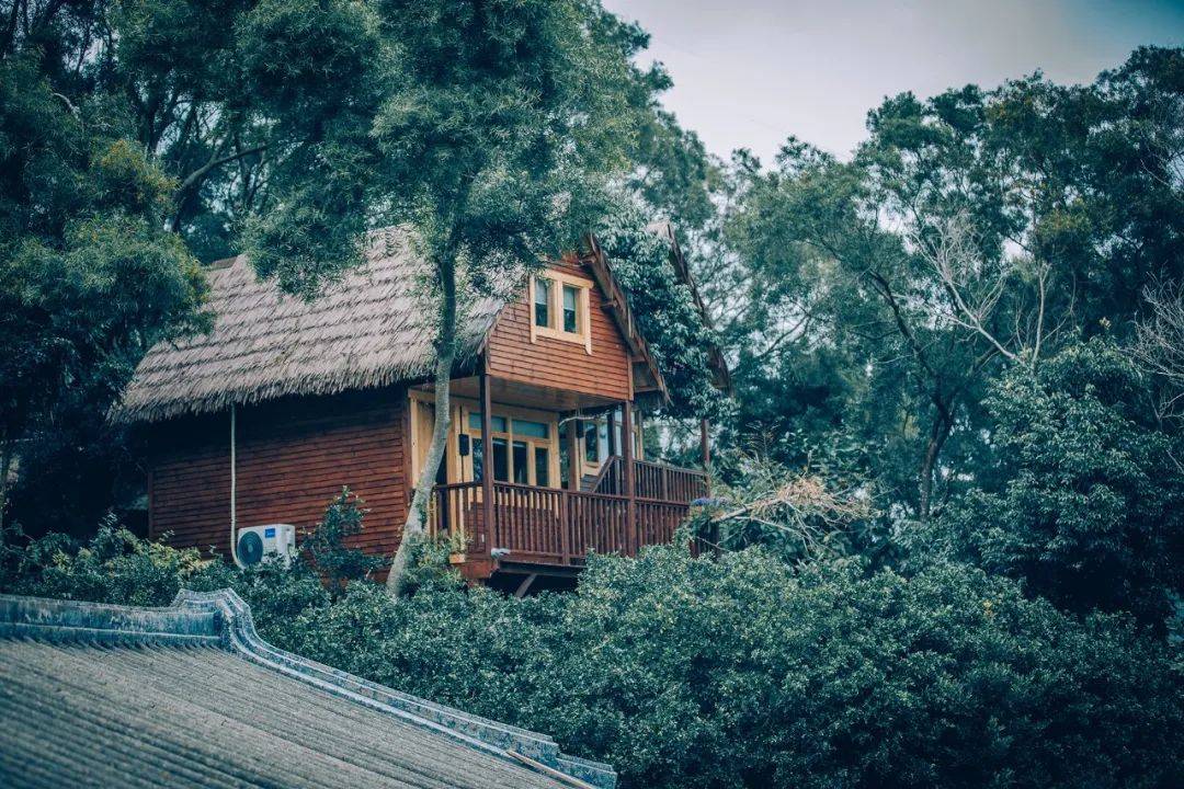 汕頭南澳島-時光·島留叢林木屋民宿(9房12床)_大床_全景_童趣