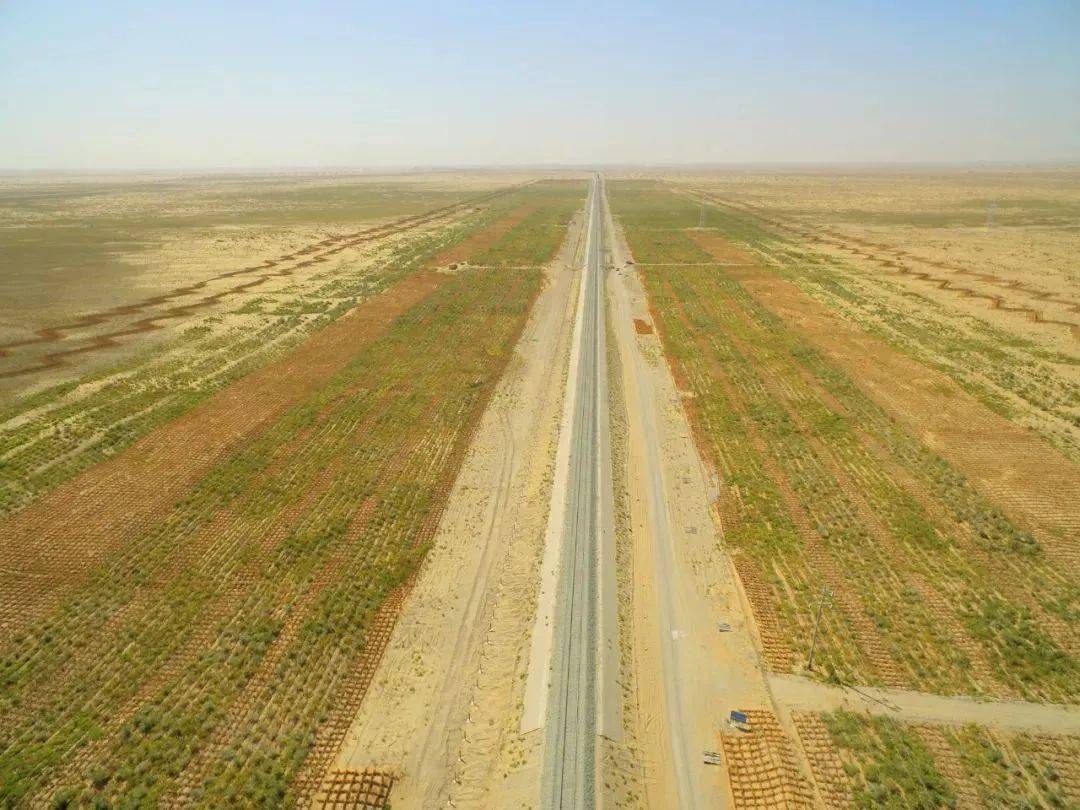 萨勒瓦墩沙漠区植物防护与工程防护相结合 ▲在这些植株成长之前,建设