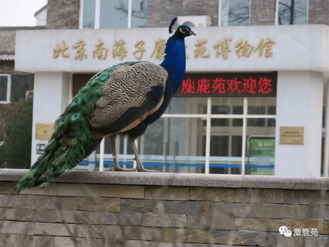 邯郸北科科普馆图片