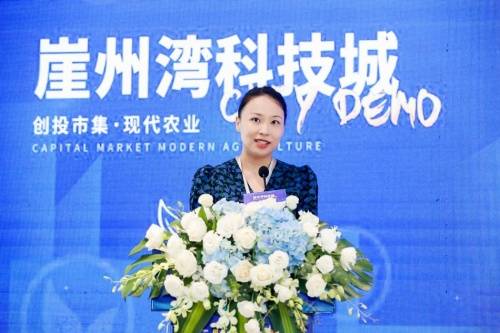 助力现代农业金融发展崖州湾创投市集圆满举办