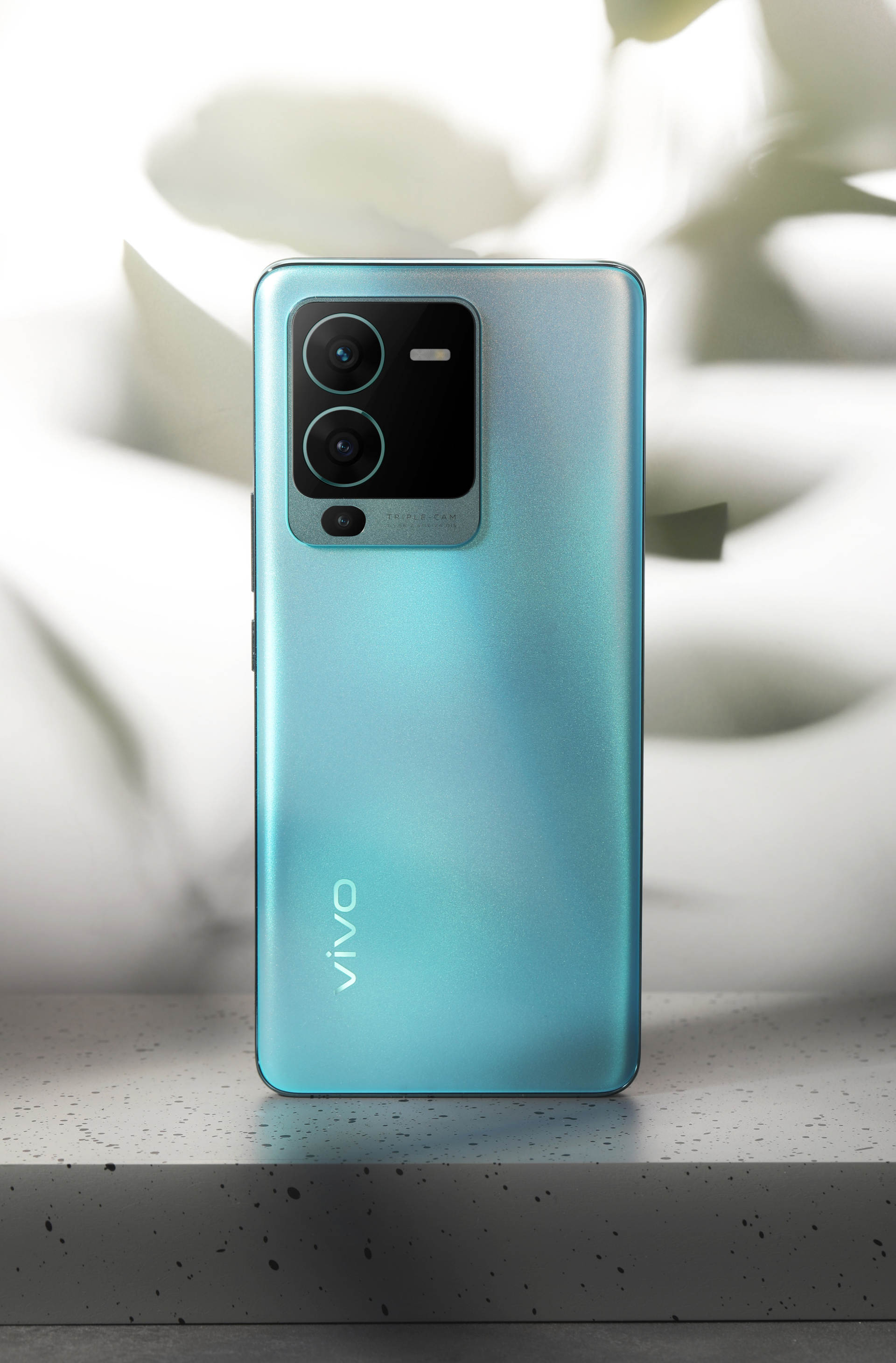 vivo s15采用中极点直屏设计