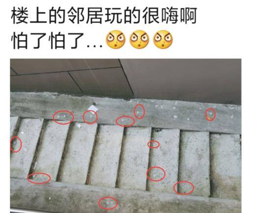 原创
“楼上的邻居玩得挺嗨啊!”哈哈哈一看就是肛肠科vip用户了