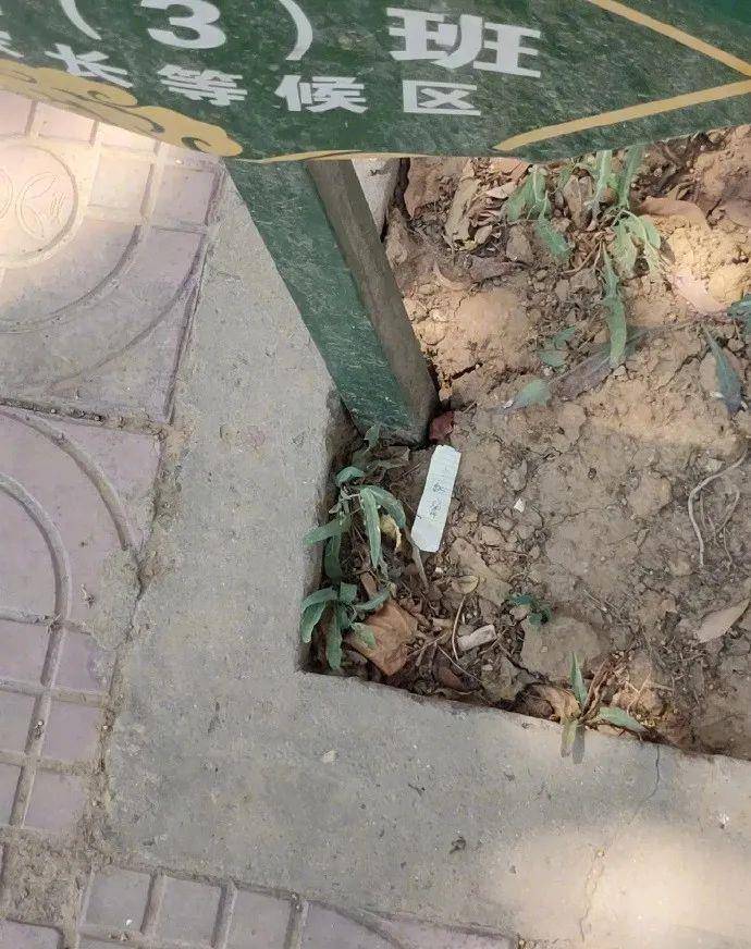 原创
让男友帮我拍张照片发朋友圈,结果...网友:当场给我送走了哈哈
