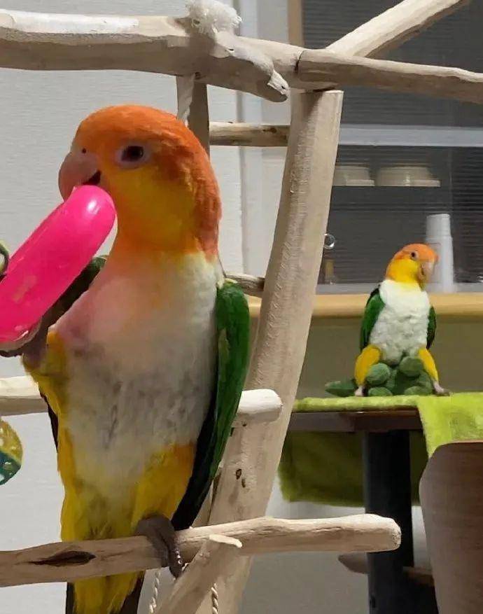 原创
让男友帮我拍张照片发朋友圈,结果...网友:当场给我送走了哈哈