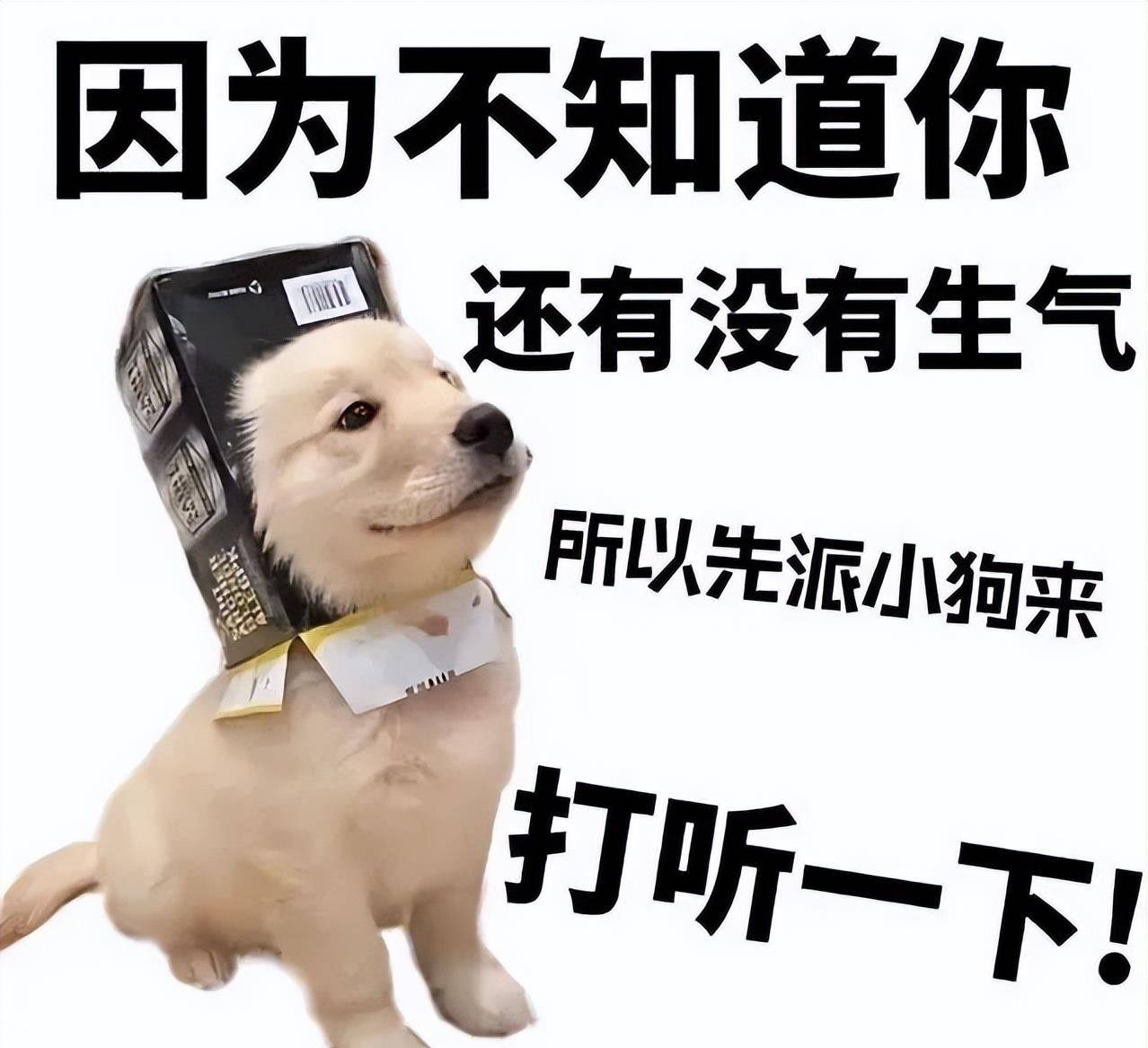 原创
让男友帮我拍张照片发朋友圈,结果...网友:当场给我送走了哈哈
