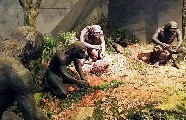 专家:一块土地,一片云和几万亿次闪电_研究_人类_磷化合物