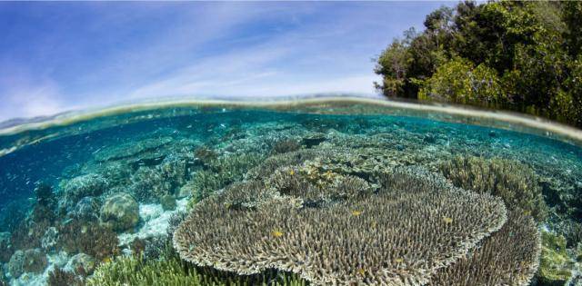 變化深遠地影響了地球上的物種棲息地,並嚴重破壞了全球生物多樣性,即