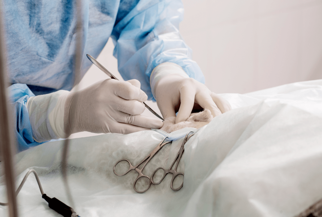 每个男孩都要来一刀吗?_进行_影响_手术