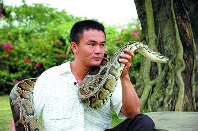原创1996年海南100斤蟒蛇报恩认主与主人同吃同睡还能抓小偷