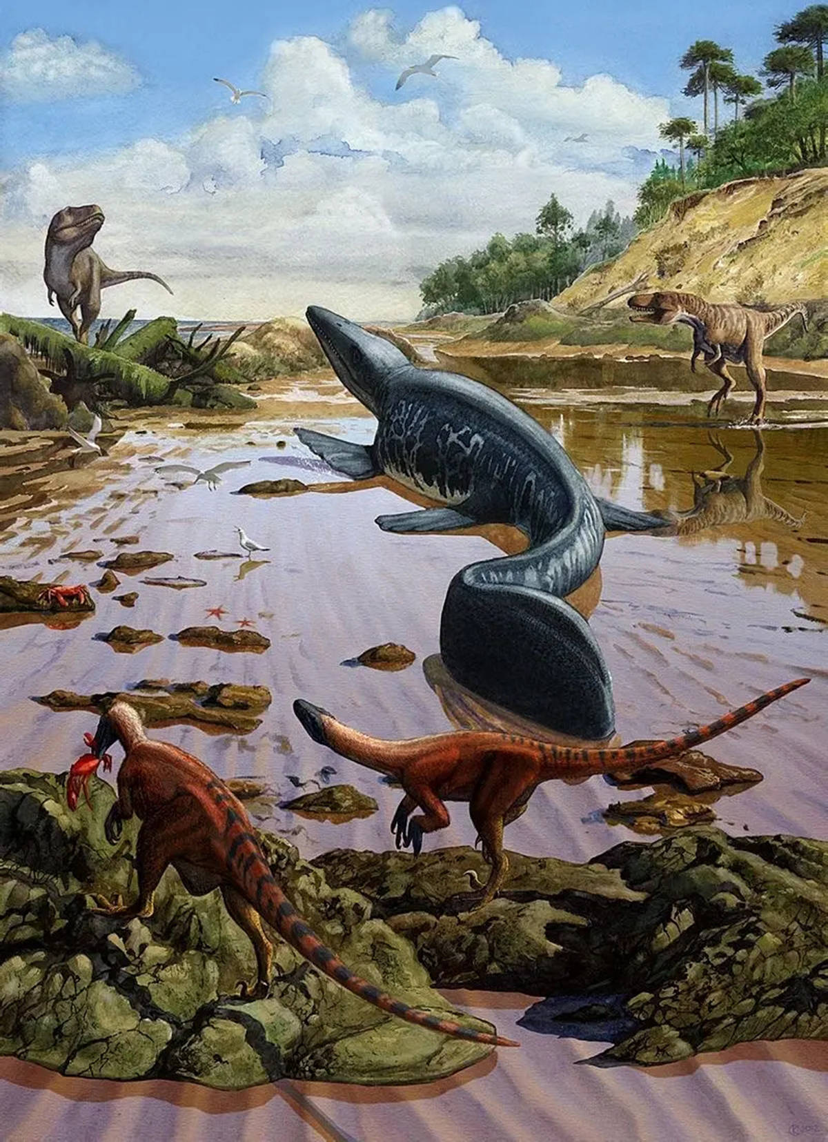 白垩纪晚期制霸海洋的沧龙从何而来如何长成17米长的森然巨物