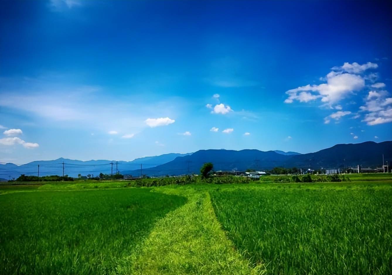 原创五十岁之后活着就是一场归途