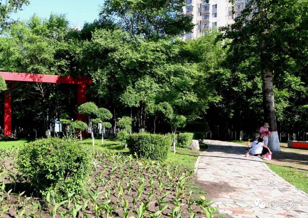 北安人民公园_柳池_游人_规划设计院