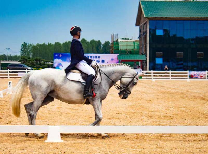 在山东映川旅游区举办的山东省马术锦标赛圆满结束_舞步_赛事_项目