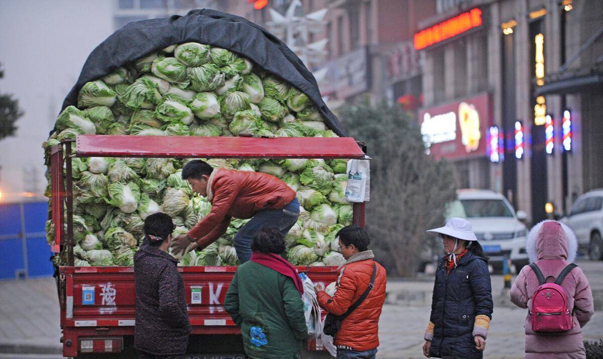 南方人看不懂的北方:冬季家里囤"3宝,花钱少吃的好_萝卜_粉条_大白菜