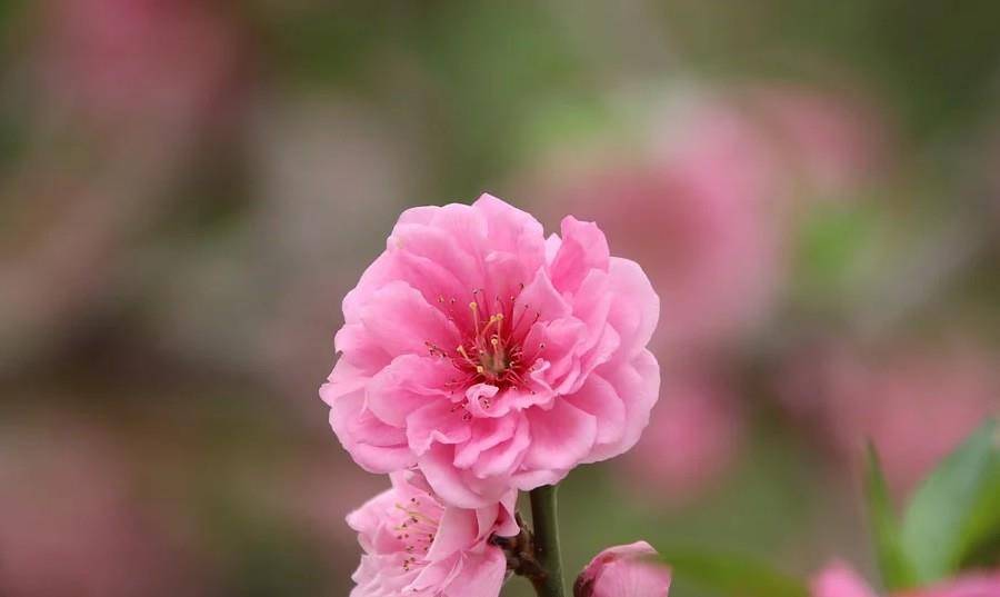6月28日星座日运 摩羯运势低迷 双子容易消极 水瓶负能量过剩 生活 交流 问题