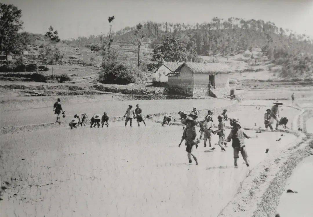 �����ǡ��Ĵ����ձ���ʮ�ģ�����1876�꣬������һ�ɵ� ...